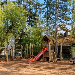 Blick in den Garten